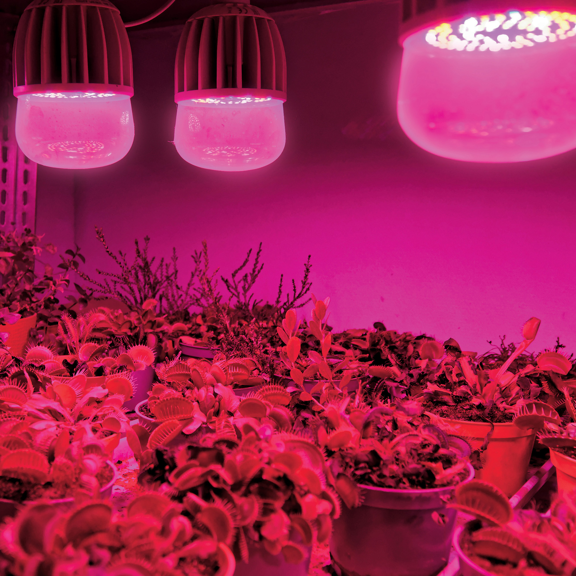 LED-M80-20W-SP-E27-CL ALS55WH Лампа светодиодная для растений. IP54. Форма M. прозрачная колба. Материал корпуса алюминий. Упаковка картон.