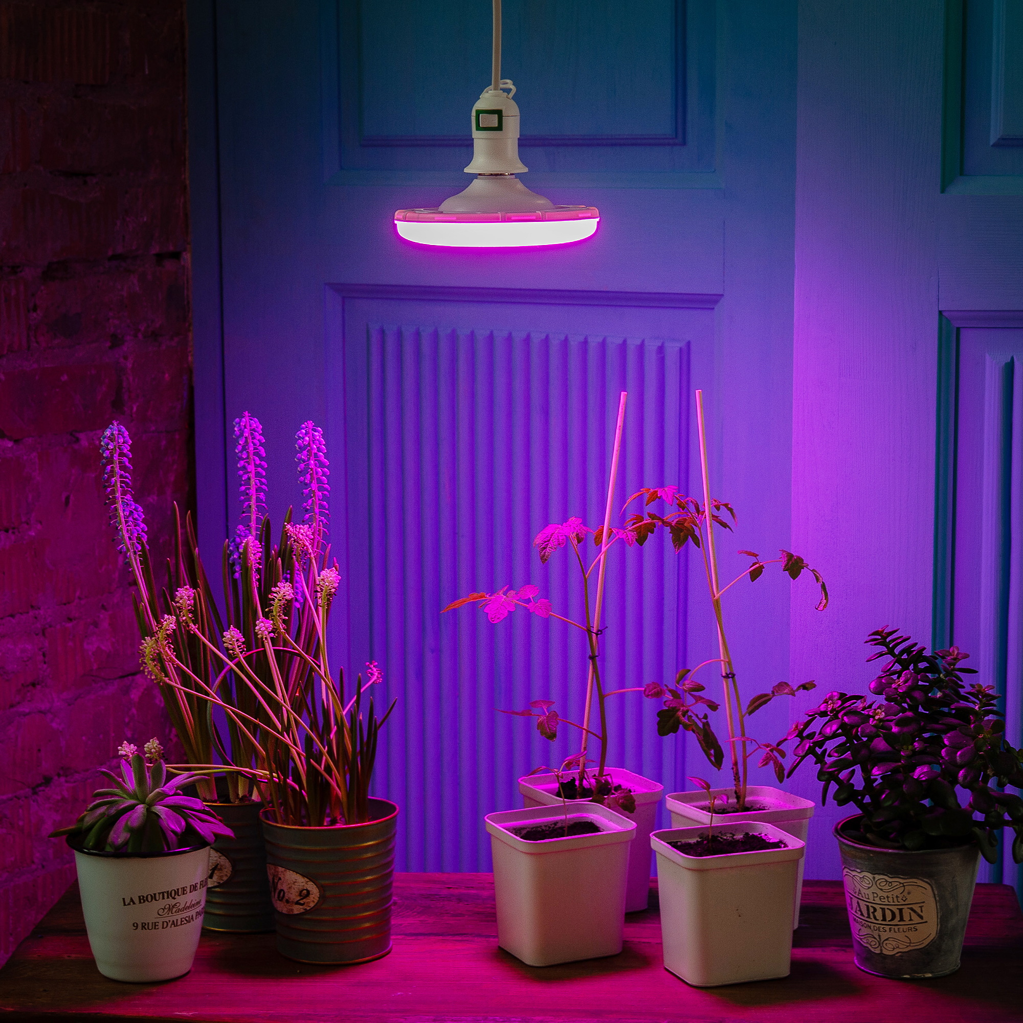 LED-U150-16W-SPSB-E27-FR PLP30WH Лампа светодиодная для растений. Форма UFO. матовая.  Спектр для рассады и цветения. Картон. ТМ Uniel