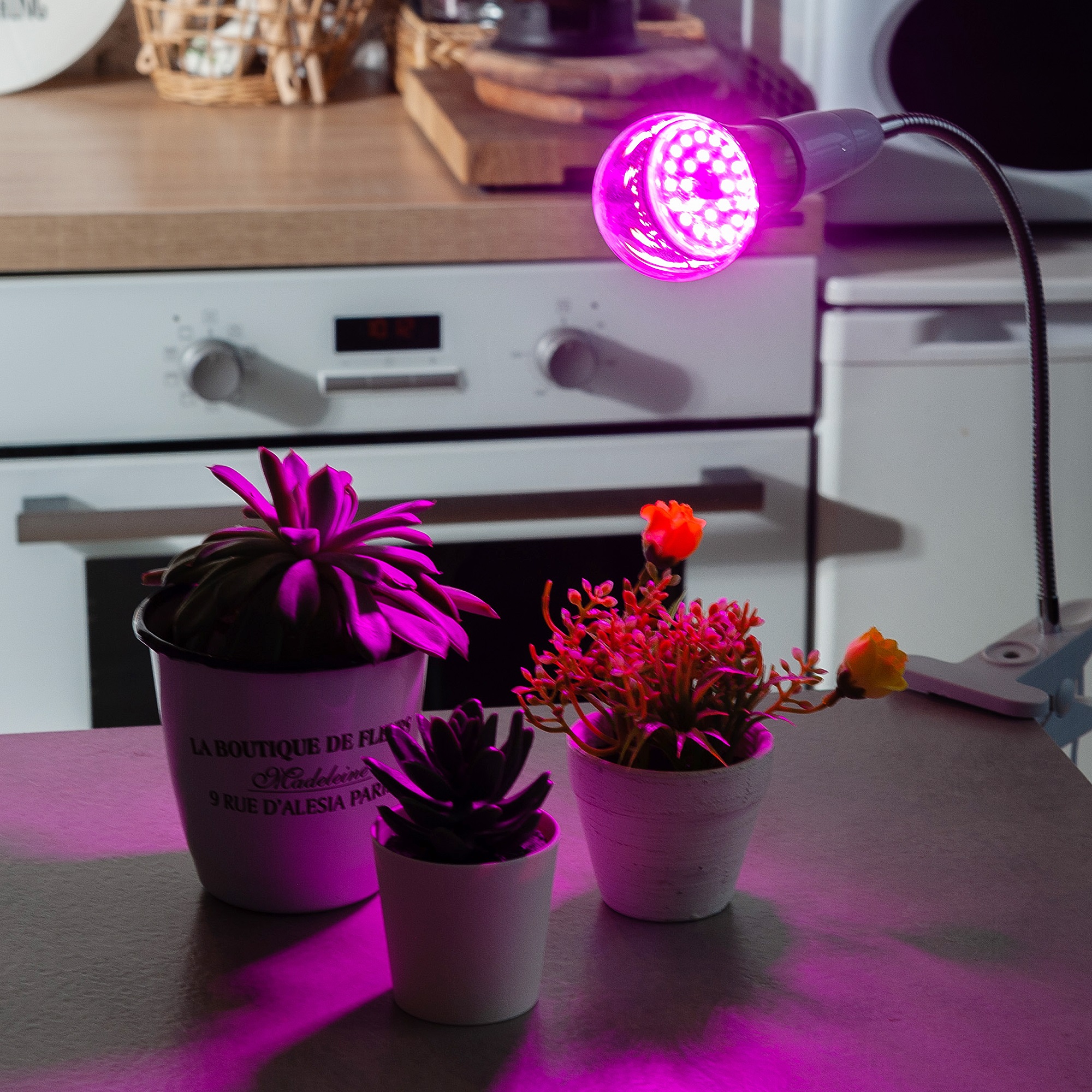 LED-A60-8W-SPSB-E27-CL PLP30GR Лампа светодиодная для растений. Форма A. прозрачная. Спектр для рассады и цветения. Картон. ТМ ФитоЛето