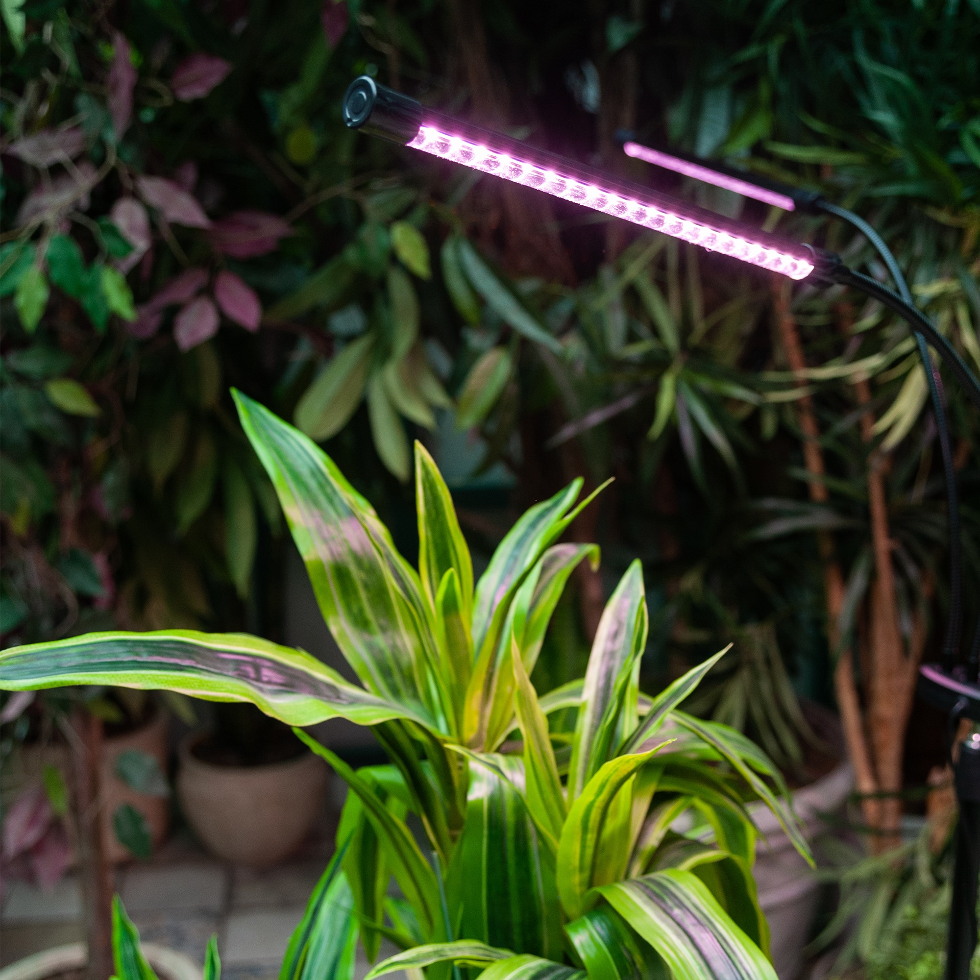 ULT-P32-36W-SPLE-TM-40 IP40 BLACK QUAD Светильник для растений светодиодный с таймером. на штативе. Спектр для фотосинтеза. TM Uniel
