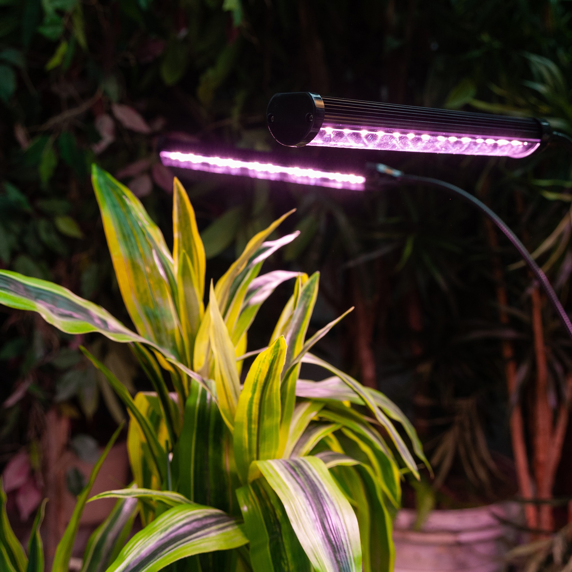 ULT-P32-60W-SPLE-TM-40 IP40 BLACK QUAD Светильник для растений светодиодный с таймером. на штативе. Спектр для фотосинтеза. TM Uniel