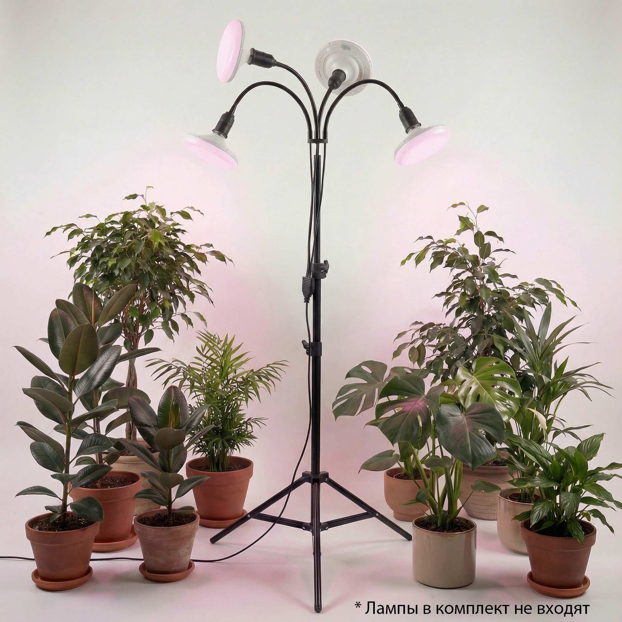 UML-P200 E27x4 BLACK PLANT