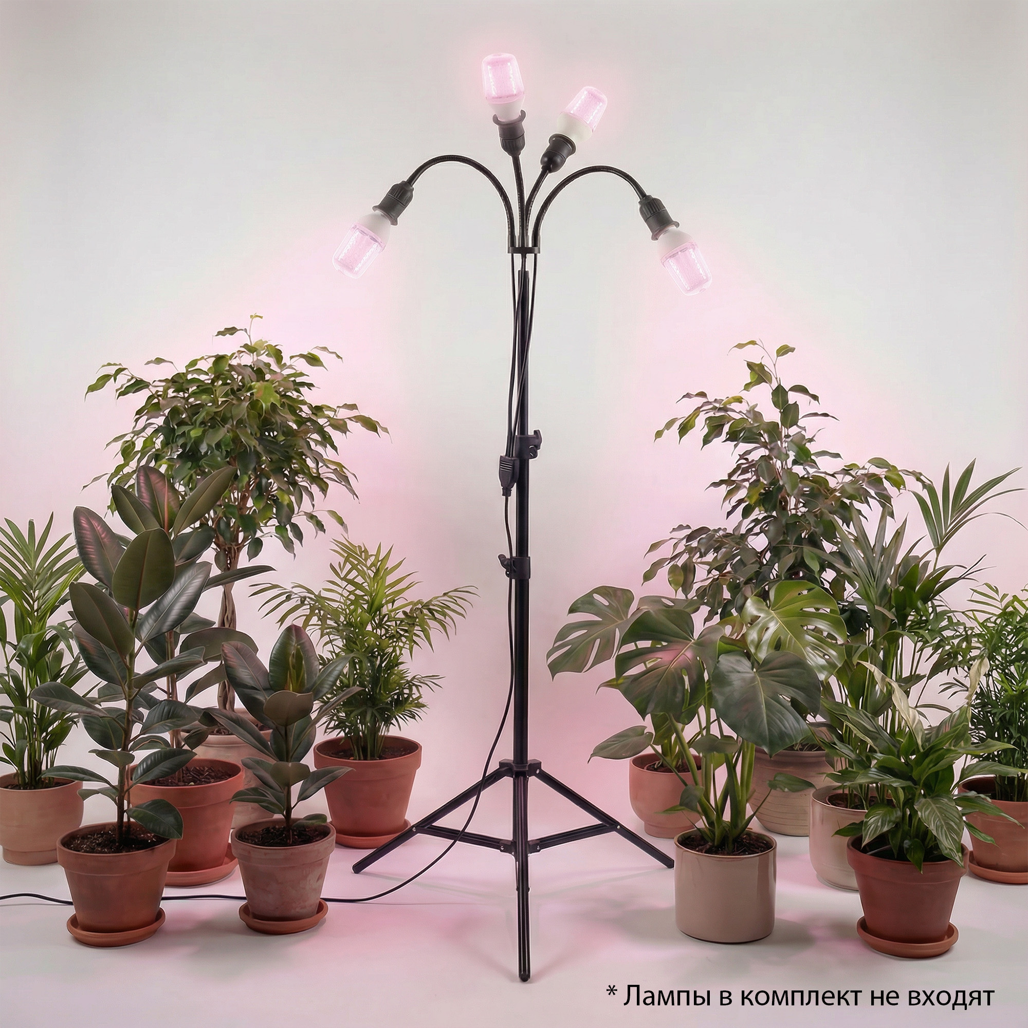 UML-P200 E27x4 BLACK PLANT